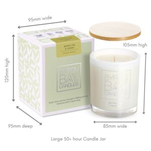 Burnt Fig & Cassis 50 hour candle measurements