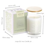 Coconut Lime 50 hour candle measurements