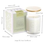 Festivity 50 hour candle measurements
