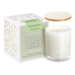 NEW Byron Christmas: A Fresh, Joyous Aroma For The Holiday Season - Medium 30 Hour Pure Soy Candle